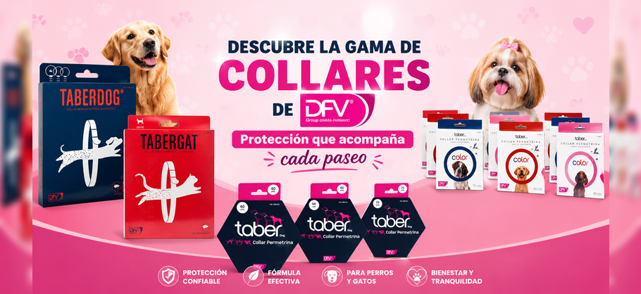 COLLARES DFV